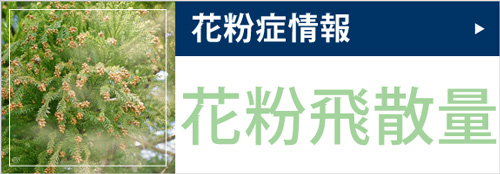 花粉情報
